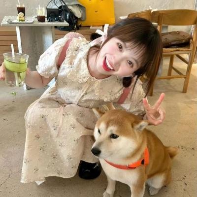 商谍